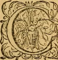 Picture 2 of 29 from Aromatum, et simplicium aliquot medicamentorum apud Indos nascentium historia : ante biennium quidem Lusitanica lingua per dialogos conscripta (1567), leaf 6