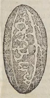 Picture 5 of 12 from Aromatum, et simplicium aliquot medicamentorum apud Indos nascentium historia: (1579), leaf 103