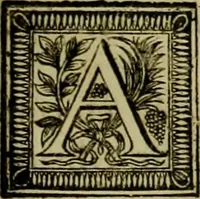 An illustration from Arsacidarum imperium, sive, Regum Parthorum historia : ad fidem numismatum accommodata (1725)