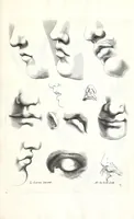 An illustration from Ars pictoria: or An academy treating of drawing, painting, limning, etching. To which are added XXXI. copper plates, expressing the choicest, nearest, and most exact grounds and rules of symmetry. Collected out of the most eminent Italian, German, and Netherland authors. By Alexander Browne, practitioner in the art of limning (1675)