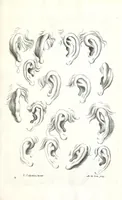 An illustration from Ars pictoria: or An academy treating of drawing, painting, limning, etching. To which are added XXXI. copper plates, expressing the choicest, nearest, and most exact grounds and rules of symmetry. Collected out of the most eminent Italian, German, and Netherland authors. By Alexander Browne, practitioner in the art of limning (1675)