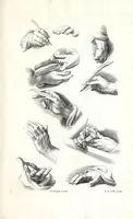 An illustration from Ars pictoria: or An academy treating of drawing, painting, limning, etching. To which are added XXXI. copper plates, expressing the choicest, nearest, and most exact grounds and rules of symmetry. Collected out of the most eminent Italian, German, and Netherland authors. By Alexander Browne, practitioner in the art of limning (1675)
