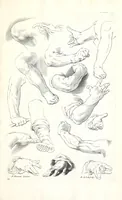 An illustration from Ars pictoria: or An academy treating of drawing, painting, limning, etching. To which are added XXXI. copper plates, expressing the choicest, nearest, and most exact grounds and rules of symmetry. Collected out of the most eminent Italian, German, and Netherland authors. By Alexander Browne, practitioner in the art of limning (1675)