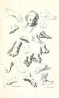 An illustration from Ars pictoria: or An academy treating of drawing, painting, limning, etching. To which are added XXXI. copper plates, expressing the choicest, nearest, and most exact grounds and rules of symmetry. Collected out of the most eminent Italian, German, and Netherland authors. By Alexander Browne, practitioner in the art of limning (1675)