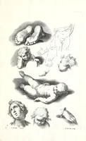 An illustration from Ars pictoria: or An academy treating of drawing, painting, limning, etching. To which are added XXXI. copper plates, expressing the choicest, nearest, and most exact grounds and rules of symmetry. Collected out of the most eminent Italian, German, and Netherland authors. By Alexander Browne, practitioner in the art of limning (1675)