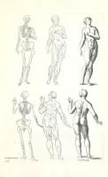 An illustration from Ars pictoria: or An academy treating of drawing, painting, limning, etching. To which are added XXXI. copper plates, expressing the choicest, nearest, and most exact grounds and rules of symmetry. Collected out of the most eminent Italian, German, and Netherland authors. By Alexander Browne, practitioner in the art of limning (1675)