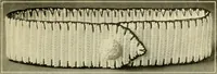 An illustration from Artamo crochet book ... no. 1- (1916)