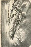 An illustration from Art and artists in Connecticut (1879)