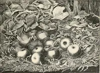 Picture 58 of 63 from Art and artists in Connecticut (1879), leaf 208