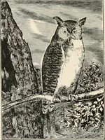Picture 59 of 63 from Art and artists in Connecticut (1879), leaf 209