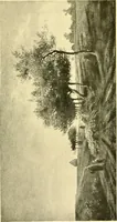Picture 188 of 234 from Art and artists of our time (1888), leaf 414