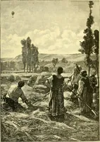 Picture 194 of 234 from Art and artists of our time (1888), leaf 424