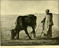 Picture 206 of 234 from Art and artists of our time (1888), leaf 448