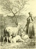 Picture 208 of 234 from Art and artists of our time (1888), leaf 452