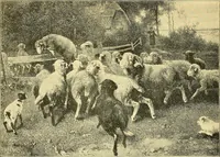 An illustration from Art and artists of our time (1888)