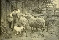 Picture 206 of 232 from Art and artists of our time (1888), leaf 444