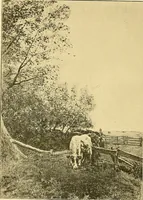 An illustration from Art and artists of our time (1888)