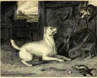 Picture 89 of 208 from Art and artists of our time (1888), leaf 204