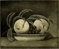 Picture 112 of 208 from Art and artists of our time (1888), leaf 260