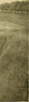Picture 141 of 208 from Art and artists of our time (1888), leaf 338