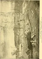 Picture 145 of 208 from Art and artists of our time (1888), leaf 346