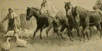 Picture 73 of 104 from Art and artists of our time (1888), leaf 188