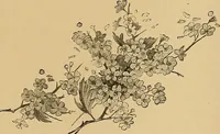 An illustration from Art and artists of our time (1888)