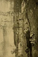 Picture 38 of 99 from Art and artists of our time (1888), leaf 109