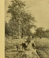 Picture 72 of 99 from Art and artists of our time (1888), leaf 172