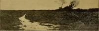 Picture 76 of 99 from Art and artists of our time (1888), leaf 177