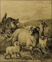 Picture 94 of 99 from Art and artists of our time (1888), leaf 227