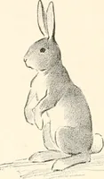 An illustration from Art catalogue : a catalogue of books and materials prepared for the promotion of art education in schools. (1911)