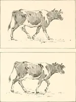 An illustration from Art catalogue : a catalogue of books and materials prepared for the promotion of art education in schools. (1911)