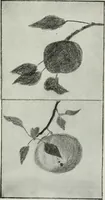An illustration from Art (1916)