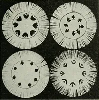 An illustration from Art (1916)