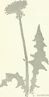 An illustration from Art (1916)