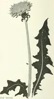 An illustration from Art (1916)