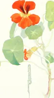 An illustration from Art (1916)