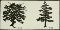 An illustration from Art (1916)