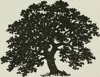 An illustration from Art (1916)