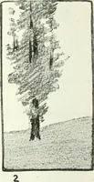 An illustration from Art (1916)