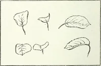 An illustration from Art (1916)