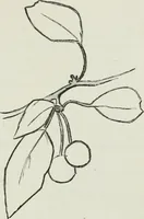 An illustration from Art (1916)