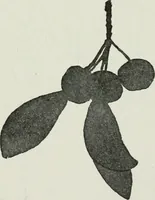 An illustration from Art (1916)