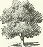 An illustration from Art (1916)