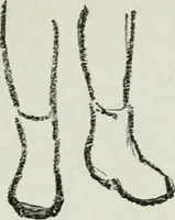 An illustration from Art (1916)