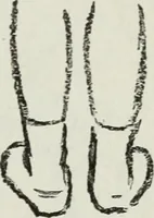 An illustration from Art (1916)