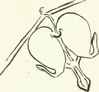 An illustration from Art (1916)
