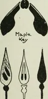 An illustration from Art (1916)