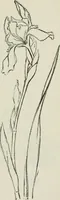 An illustration from Art (1916)